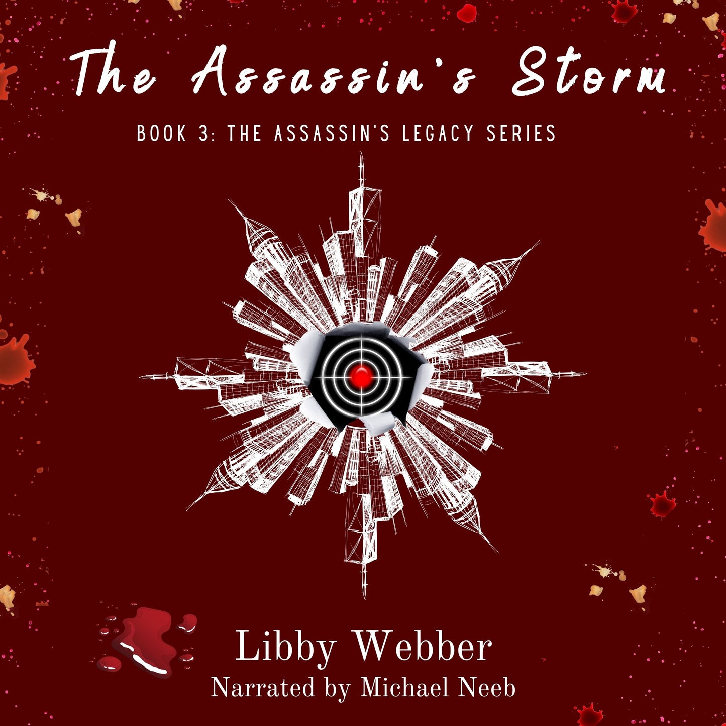 The Assassin's Storm Audiobook